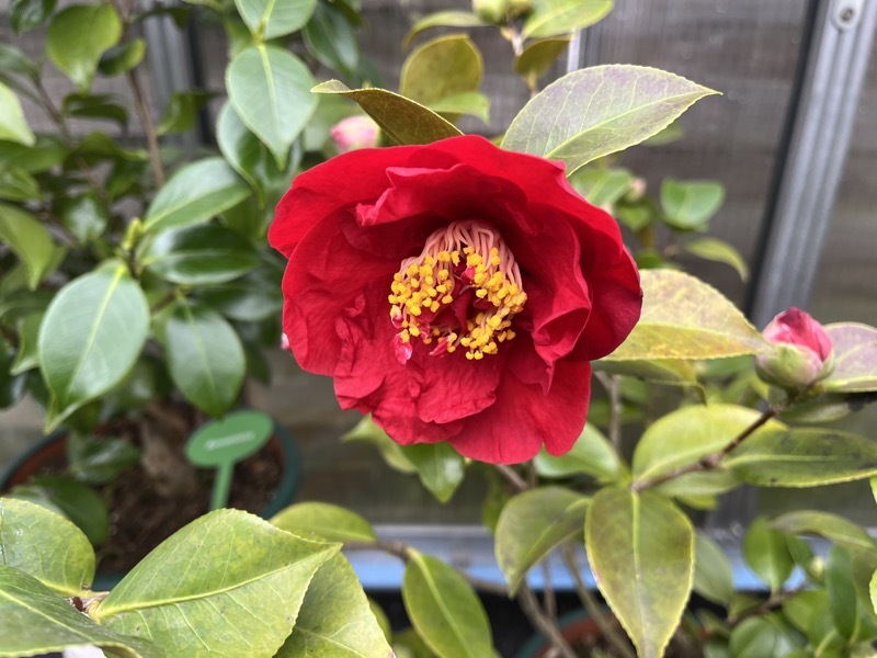 Dr. Burnside 16. März 2026