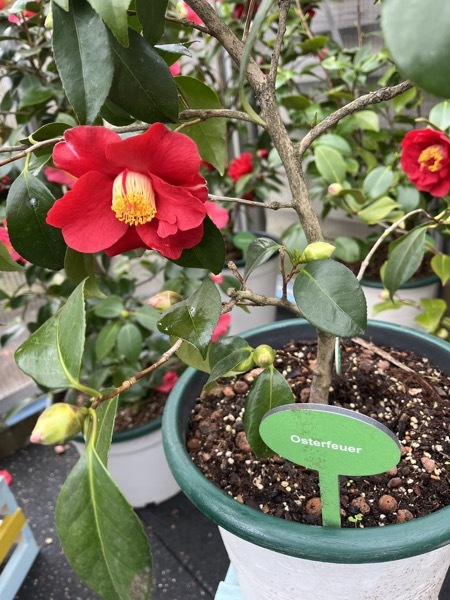 Osterfeuer 16. März 2026